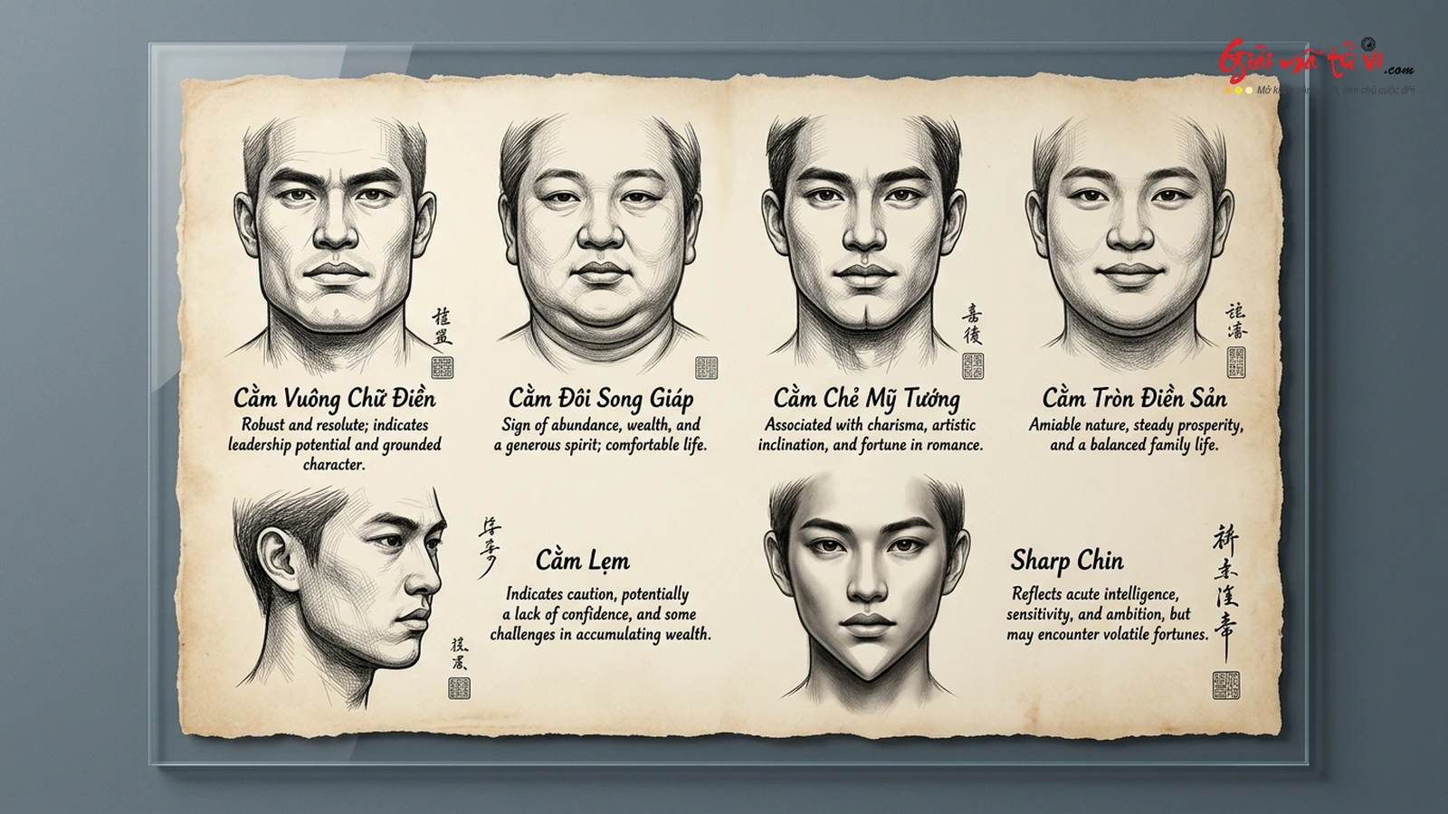 Bản vẽ ký họa so sánh 6 dáng cằm điển hình trong nhân tướng học gồm cằm vuông chữ Điền, cằm đôi song giáp, cằm chẻ, cằm tròn điền sản, cằm lẹm và cằm nhọn