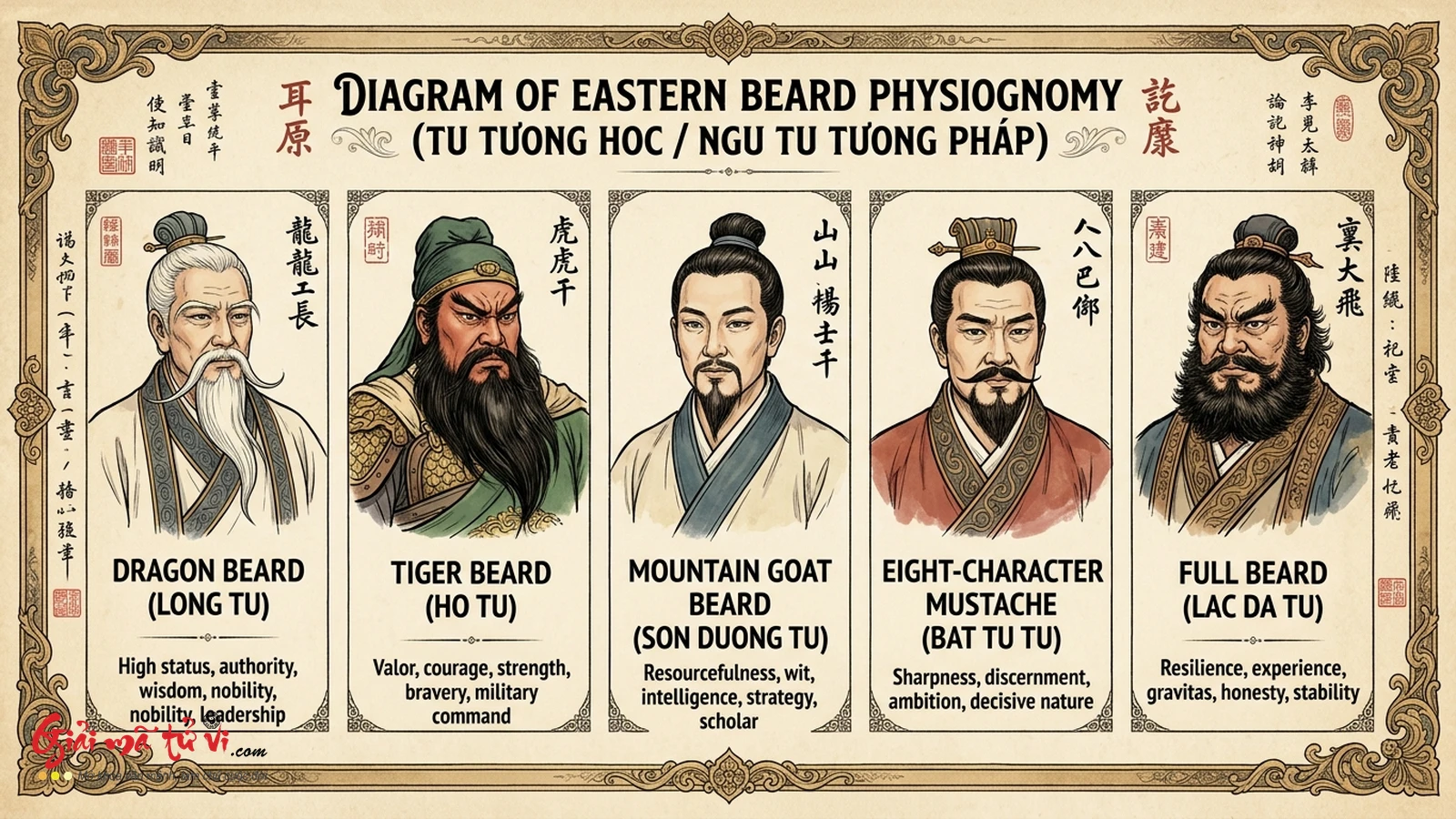 Đồ hình Ngũ Tu Tướng Pháp – Giải mã 12 dáng râu nam giới kinh điển (Long Tu, Hổ Tu, Sơn Dương Tu, Bát Tự Tu, Lạc Đà Tu) định đoạt uy quyền và bản lĩnh