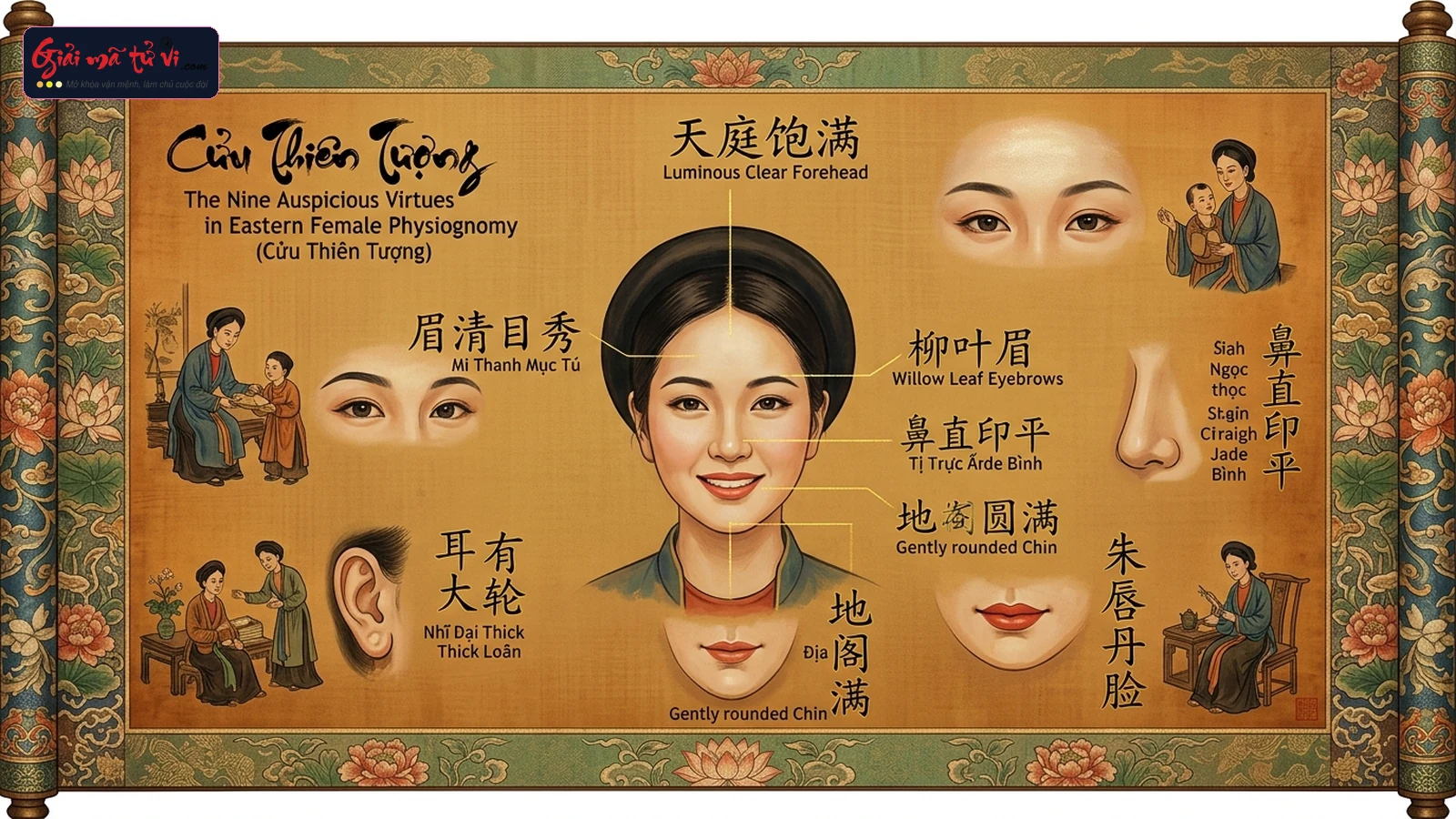 Bản đồ Cửu Thiện Tướng kinh điển trong Nhân tướng học Á Đông – 9 nét tướng quý tối thượng của nữ mệnh