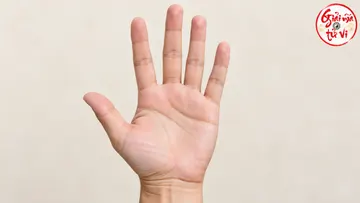 Bàn tay mở trên bàn gỗ