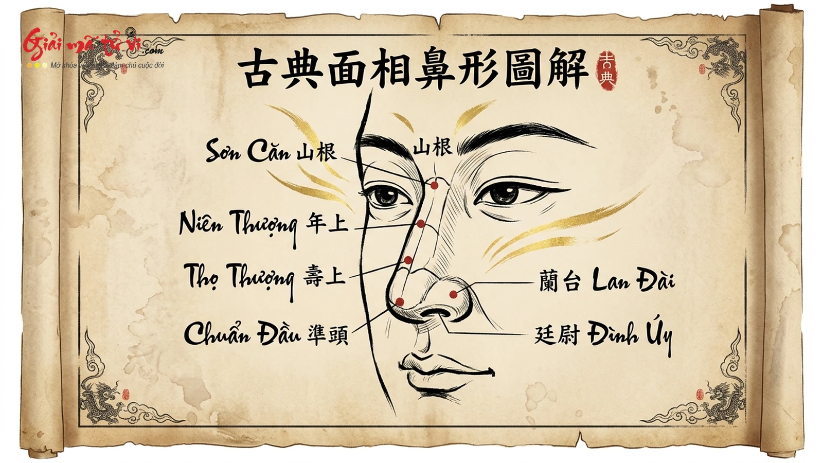 Đồ hình Ấn Đường và 4 bộ vị thân mũi: Sơn Căn, Niên Thượng, Thọ Thượng và Chuẩn Đầu – Mệnh cung và cung Tài Bạch trung vận