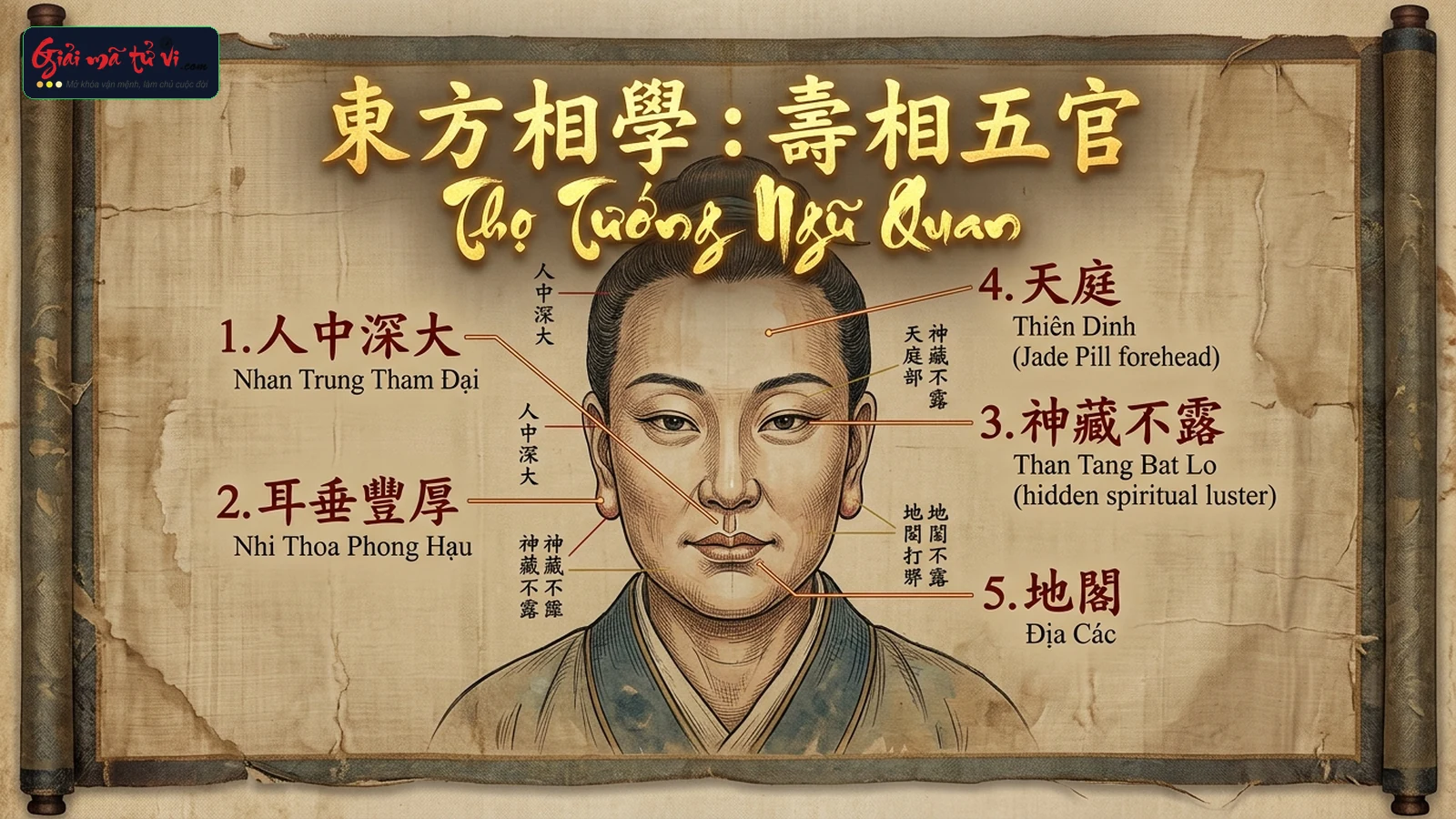 Ma trận ngũ quan và cốt cách trường thọ: Thọ hào lông mày, tai, ngọc chẩm cốt, nhân trung sâu dài và xỉ kiên nhãn tĩnh