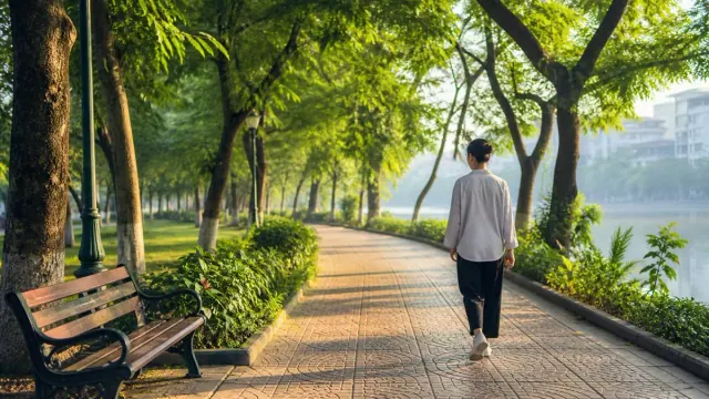 Người đi trên lối gạch công viên cạnh ghế và hàng cây