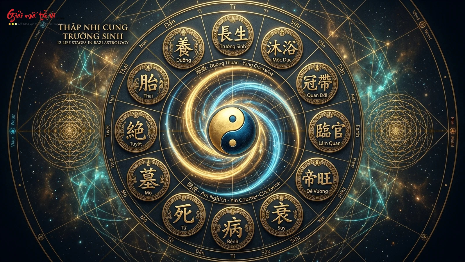 Vòng tròn Thập Nhị Cung Trường Sinh Dương Thuận Âm Nghịch trong Bát Tự Tứ Trụ