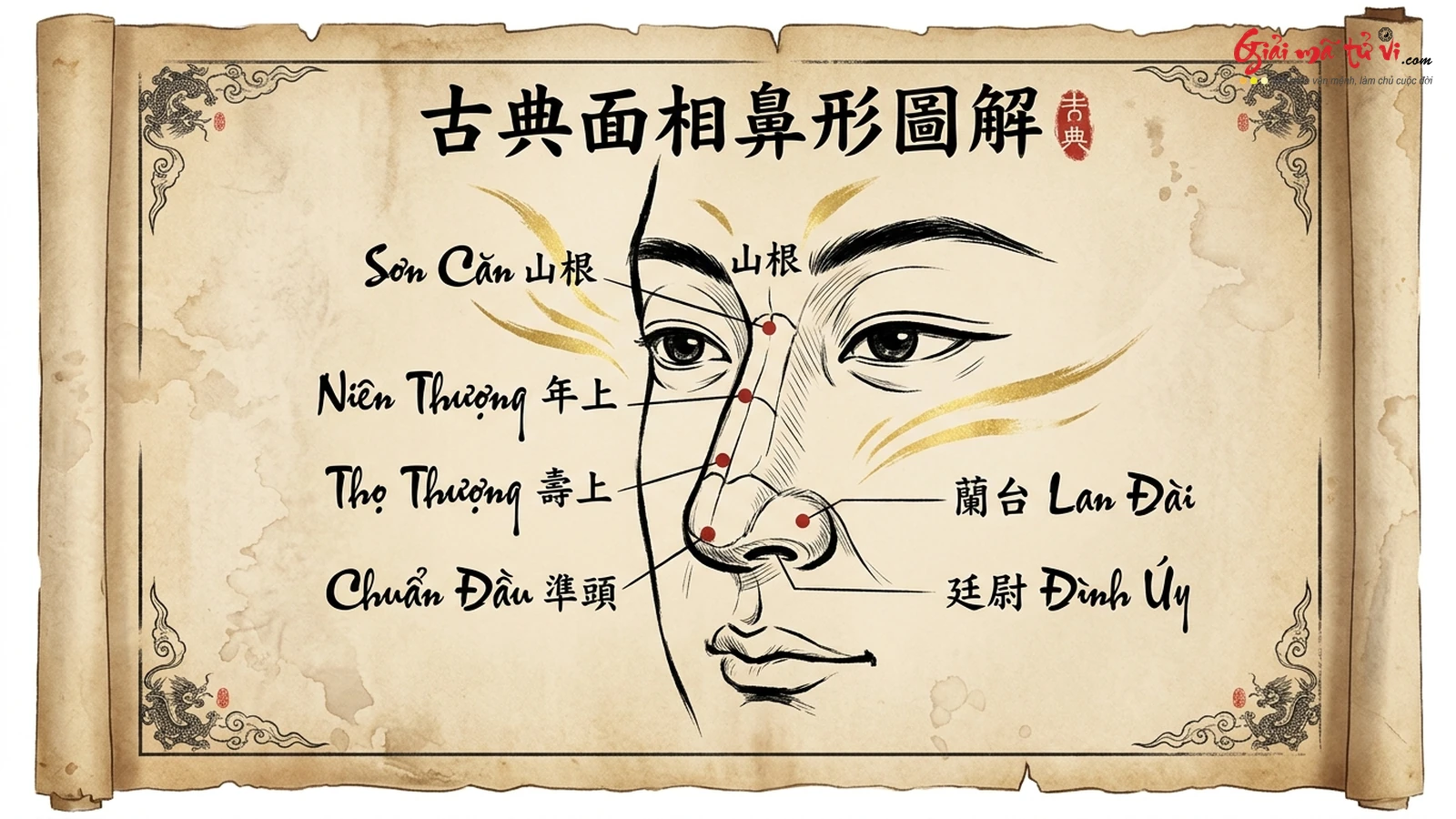 5 Bộ Vị Cốt Tử Của Tướng Mũi Sơn Căn Niên Thượng Thọ Thượng Chuẩn Đầu Lan Đài Đình Úy