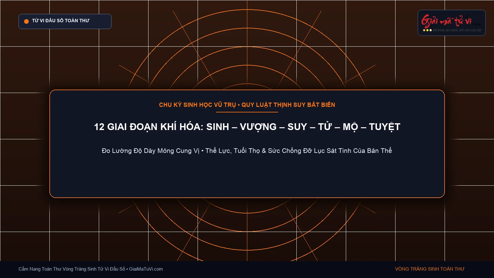 12 giai đoạn khí hóa Vòng Tràng Sinh trong Tử Vi: Sinh, Dục, Đới, Quan, Vượng, Suy, Bệnh, Tử, Mộ, Tuyệt, Thai, Dưỡng